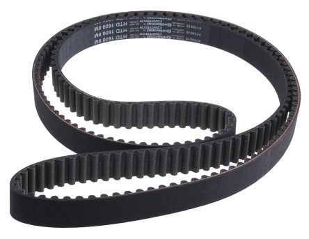 Timing Belt